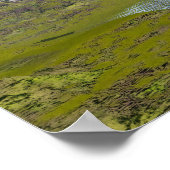 Brachiosaurus dinosaurus in water - 3D rendering Poster (Hoek)