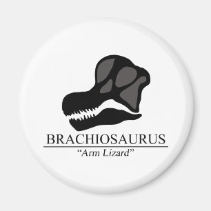Brachiosaurus Magneet