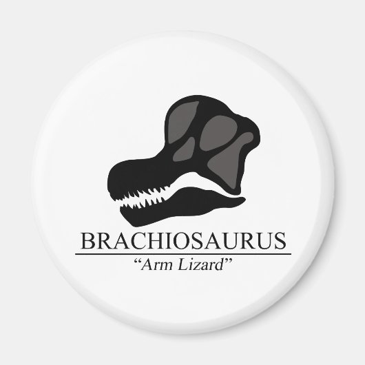 Brachiosaurus Magneet (Voorkant)