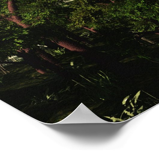 Brachiosaurus Print (Hoek)