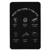 Brachos Magnet Magneet (Verticaal)