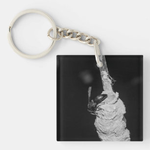 Brachygastra Sleutelhanger