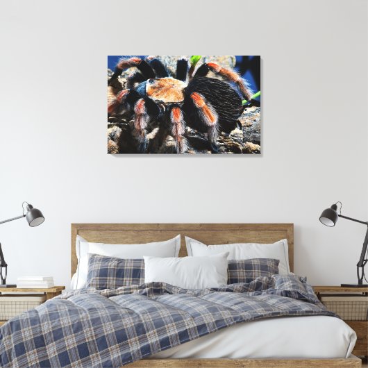 Brachypelma boehmei canvas afdruk (Insitu (Slaapkamer))