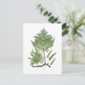 Bracken Briefkaart (Staand voorkant)