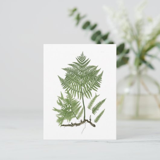 Bracken Briefkaart (Staand voorkant)