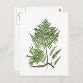 Bracken Briefkaart (Voorkant / Achterkant)