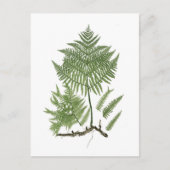 Bracken Briefkaart (Voorkant)