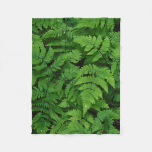 Bracken fern met regendruppels, staat Washington Fleece Deken
