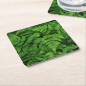 Bracken fern met regendruppels, staat Washington Kartonnen Onderzetters (Schuin)