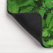 Bracken fern met regendruppels, staat Washington Muismat (Hoek)