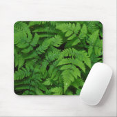 Bracken fern met regendruppels, staat Washington Muismat (Met muis)