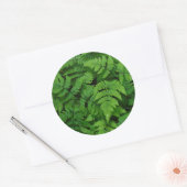 Bracken fern met regendruppels, staat Washington Ronde Sticker (Envelop)