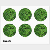 Bracken fern met regendruppels, staat Washington Ronde Sticker (Vel)