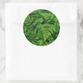 Bracken fern met regendruppels, staat Washington Ronde Sticker (Tas)