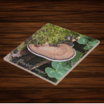 Bracket Schimmel Natuur Foto Tegeltje<br><div class="desc">Voor natuur- en paddenstoelfans! Keramische tegel met het foto-afbeelding van een Bracket Fungus,  ook bekend als Shelf Fungus,  groeiend op een met mos bedekte boomstam. Selecteer de grootte van uw tegel. Maakt een geweldige keuken trivet!</div>
