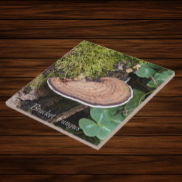 Bracket Schimmel Natuur Foto Tegeltje