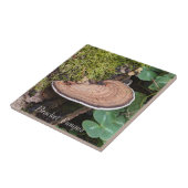 Bracket Schimmel Natuur Foto Tegeltje (Zijkant)