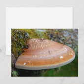 Bracket-schimmelkaart (Voorkant / Achterkant)