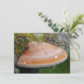 Bracket-schimmelkaart (Staand voorkant)