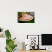 Bracketschimmel Poster (Thuiskantoor)