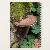 Bracketzwam Natuurfoto Notitieboek (Achterkant)