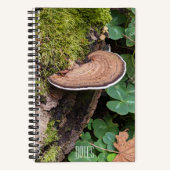 Bracketzwam Natuurfoto Notitieboek (Voorkant)