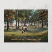 Braddock Park  Cumberland Briefkaart (Voorkant)