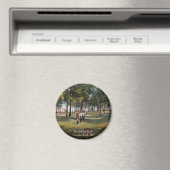 Braddock Park  Cumberlandmagneet Magneet (Insitu (Vaatwasser))