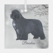 Braden Newf for Carol Glas Ornament (Voorkant)