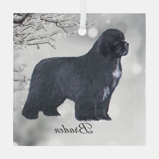 Braden Newf for Carol Glas Ornament (Achterkant)