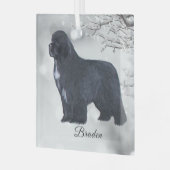 Braden Newf voor Carol Glas Ornament (Voorkant links)