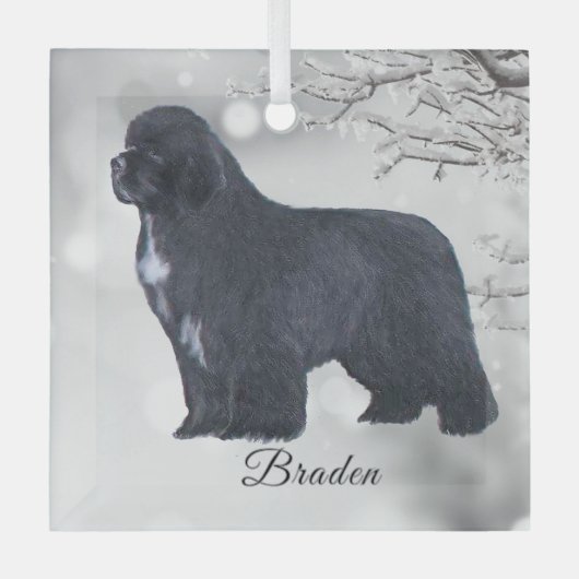 Braden Newf voor Carol Glas Ornament (Voorkant)
