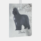 Braden Newf voor Carol Glas Ornament (Voorkant Rechts)
