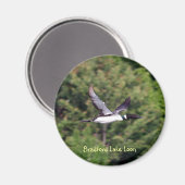 Bradford Lake Loon magneet (Voorkant / Achterkant)