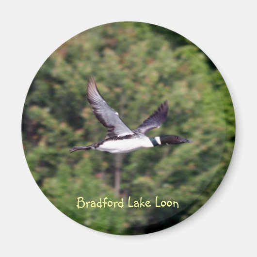 Bradford Lake Loon magneet (Voorkant)