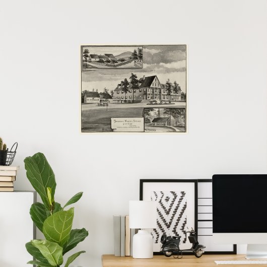 Bradford Mineral Springs Poster (Thuiskantoor)