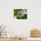 Bradford Pear Bloom Poster (Keuken)