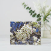 Bradford Pear Blooms die denken aan je Briefkaart (Staand voorkant)