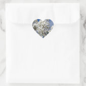 Bradford Pear Blooms Hart Sticker (Tas)
