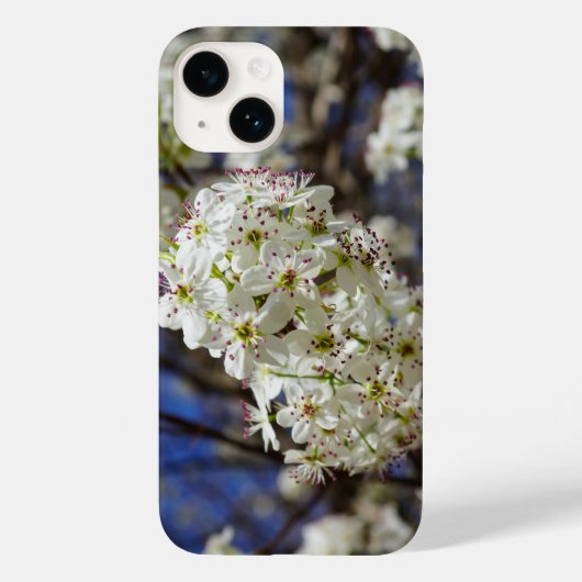 Bradford Pear Blooms iPhone Case (Achterkant)