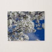 Bradford Pear Blooms Legpuzzel (Horizontaal)