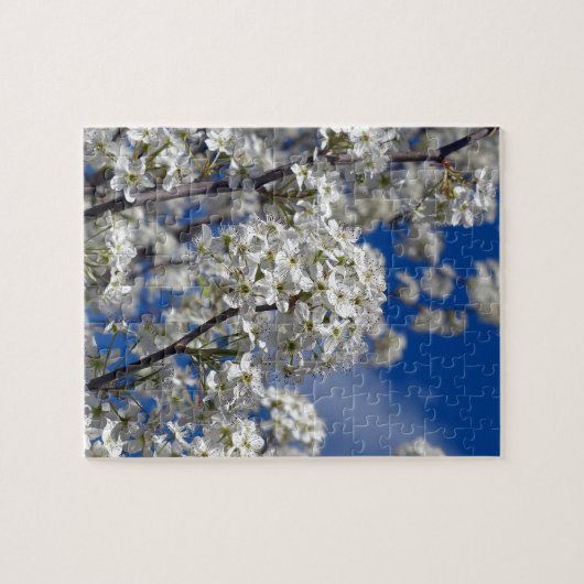 Bradford Pear Blooms Legpuzzel (Horizontaal)
