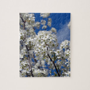 Bradford Pear Blooms Legpuzzel