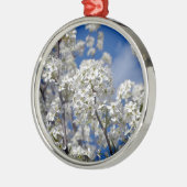 Bradford Pear Blooms Metalen Ornament (Links)
