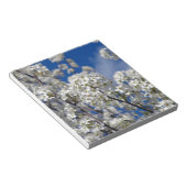 Bradford Pear Blooms Notitieblok (Schuin)