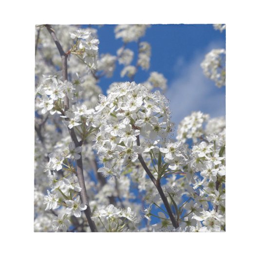 Bradford Pear Blooms Notitieblok (Voorkant)