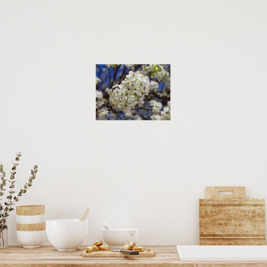 Bradford Pear Blooms Poster (Keuken)