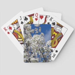 Bradford Pear Blooms Speelkaarten