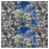 Bradford Pear Blooms Stof (Close Up)