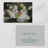 Bradford Pear Blossom ATC-fotokaart Visitekaartje (Voorkant / Achterkant)